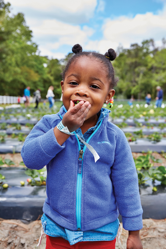 Heart & Soil Celebrate strawberry season at these Lowcountry Upick